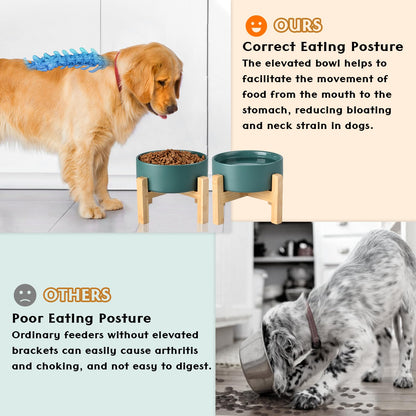 SPUNKYJUNKY Ceramic Elevated Dog Bowls 2 Pack - 5.1inch Raised Dog Bowls with Non-Slip Wooden Stand for Small Dogs Dishwasher Safe(Green,13.5OZ*2)