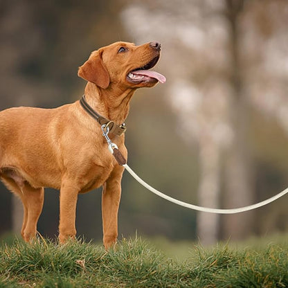 Mile High Life Leather Dog Leash, Heavy Duty Strong Genuine Leather Handle Rope Leash Soft and Comfortable for Small Medium Large Dogs (Cream White, 60 Inch)