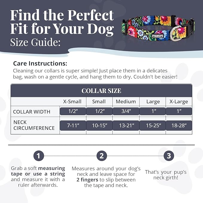 Lucky Love Dog - Easy Click Buckle Dog Collar with Leash Set Combo, Durable & Comfortable for Male & Female Dogs, Pet Collar for Small Dogs, Secure Fit - Bailey Combo, XS