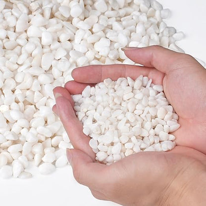 Pulovin 5 lbs White Aquarium Gravel, 1/5 Inch White Rocks for Plants, Small Pebbles for Vases, Succulents, Bamboo, Natural Decorative Pebbles for Plants Drainage, Cactus, Crafts