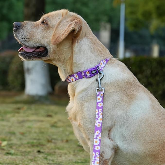 Dog Collar and Leash Set, Cute Daisy Pattern, Polyester Material, 5ft Leash, for Large Dogs.(Large,Purple Daisy)
