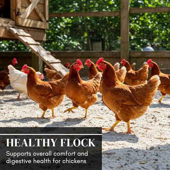 World’s Best Chicken Dust Bath – Natural Wood Ash, Sand & Fine Dust Blend – Safe for All Chickens (20 Pounds)
