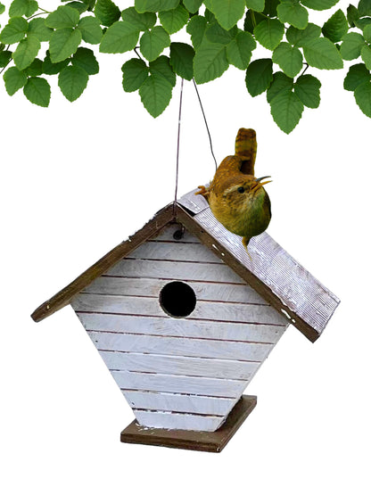 Backyard Essentials Shiplap Wren House - White Hanging Bird House - Wooden Birdhouse with Cable Hanger