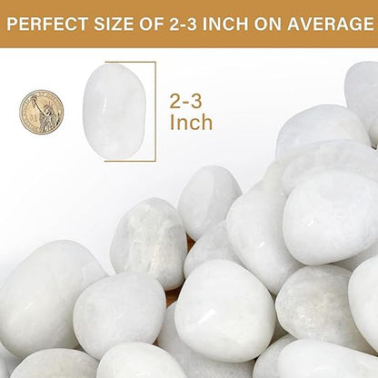 NUPICK 16lb White River Rocks for Outdoor Landscaping, 2-3 Inch Pebbles for Indoor Plants, Natural Polished Aquarium Gravel, Decorative Rocks for Succulent, Garden, Vases Fillers, Bird Baths