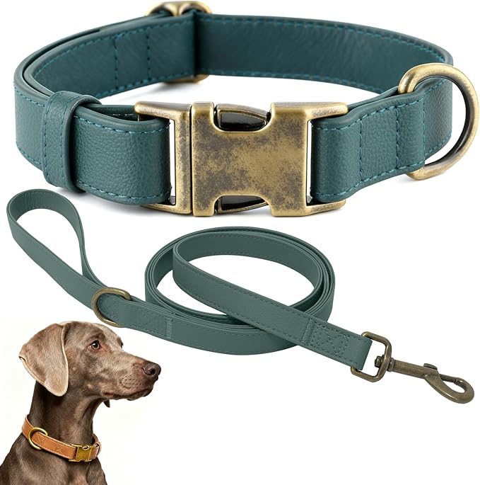 Dog Collar and Leash Set,Leather Silicone Waterproof Odor-Proof Dog Collar and Leash for Medium Dogs, Soft Flexible Dog Collars, Durable Thick Adjustable Pet Collar (Green, Medium (12.5-20 "Neck))