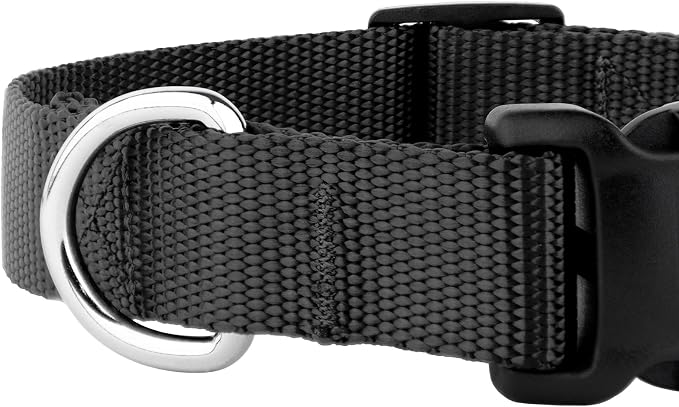 Country Brook Petz - Everyday Nylon Dog Collar and Leash - 10+ Cool Colors (1 Inch, Extra Large, Black)