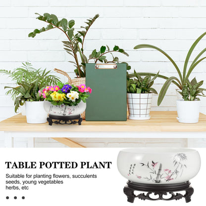 Toddmomy Hydroponic Ceramic Flowerpot Plant Pots Indoor Planters Indoor Ceramic Water Lily Bowl Vase Garden Flower Pot Ceramic Plant Pot Garden Bowl Orchid Pot Betta Fish Money Ceramics