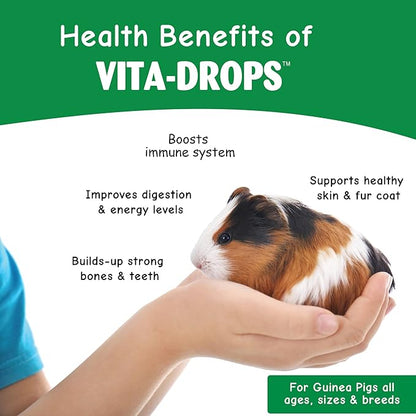 Oasis Guinea Pig Vitamins Vita Drops All-in-1 Multivitamins - Daily Vitamin Supplement Supports Healthy Bones & Teeth, Joints & Digestion, Promotes Healthy Skin Coat, 16-Ounces