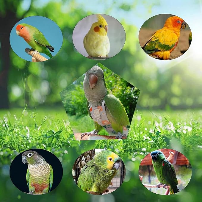 Snap-Closure Parrot Diaper Flight Suit for Cockatiels, Lovebirds & Medium Birds Cotton Washable Escape-Proof Harness with Leash Set(Cockatiel Diaper+1 Meter Rope)