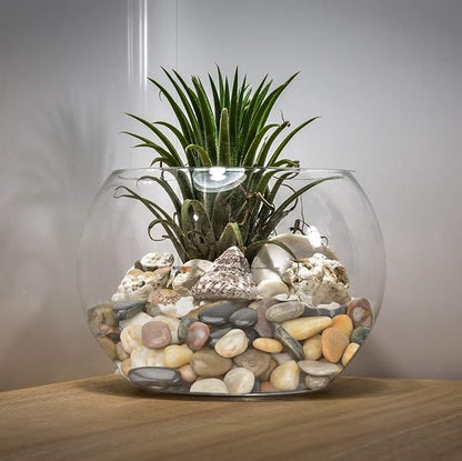 Mr. Fireglass Natural Polished Pebbles, 1 Inch Decorative Mixed Color Stones Aquarium Gravel River Rocks for Vase, Succulents, Landscaping and Home Decor (10-lb Bag)