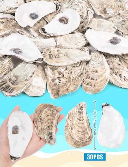 TCSYLSC 30 PCS Flat Oyster Shells 4-5” Natural Bulk Concave Oyster Shells for Crafts Home Vase Filler DIY Painting Theme Party Coastal Shell Art Supplies