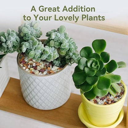 Pulovin 5 lbs Pebbles for Indoor Plants, Succulent Rocks, 3/8" Polished Pebbles for Bamboo, Vase, Terrarium, Natural Decorative Small River Rocks for Crafts, Cactus, Outdoor Garden Landscaping