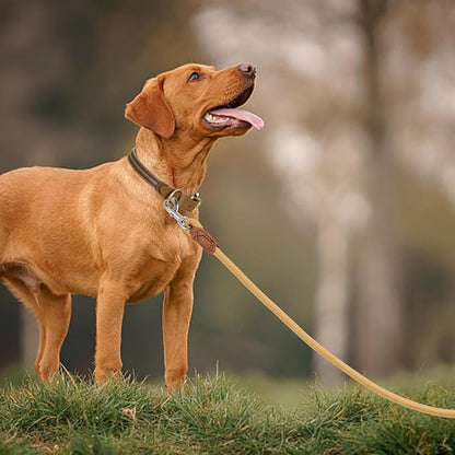 Mile High Life | Premium Leather Handle Dog Leash | Strong Rope Leash | Zinc Alloy Strong Clasp | Small Medium Large Dogs | 4/5/6 Feet(Yellow, 48 Inch (Pack of 1))