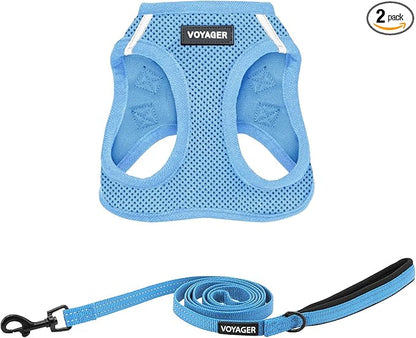 Best Pet Supplies Voyager Step-in Air All Weather Mesh Harness and Reflective Dog 5ft Leash Combo with Neoprene Handle, for Small, Medium and Large Breed Puppies - Baby Blue, Small