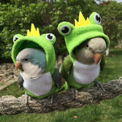 Bird Costume Diaper Flight Suit Frog Shape Hoodie Clothes Cosplay Photo Prop for Parrots Parakeet Cockatiel Sun Conure, Small Animals Apparel (Pink Without Diaper, Large), Green