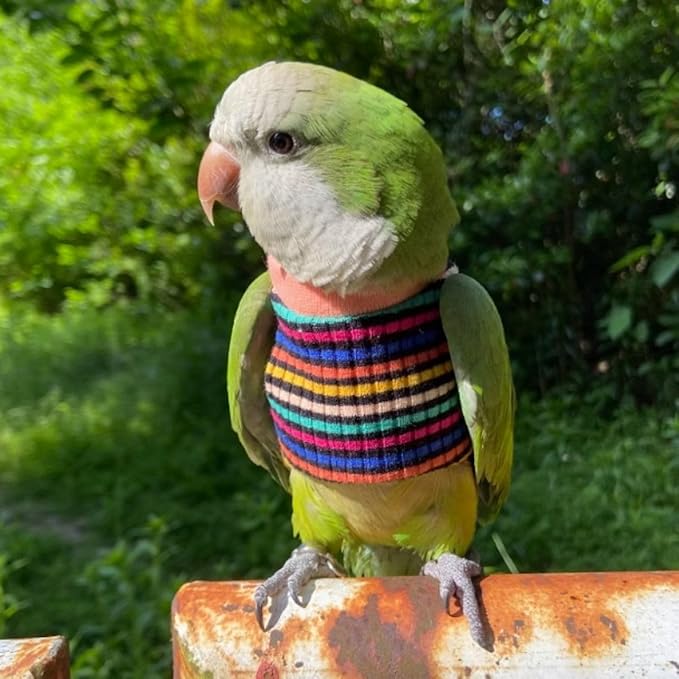 Bird Clothes - Handmade Cotton Stripe Shirt Round Collar Sweater Flight Suit for Parrots African Greys Parakeet Cockatiel Sun Conure Christmas Halloween (with Diaper,S)