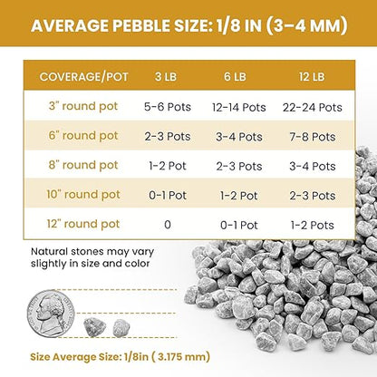 1/8 Inch Aquarium Gravel, Small Pebbles for Fish Tank & Indoor Plants, Natural Mini River Rocks for Succulent Soil Mix, Drainage, Terrarium & Vase Filler - Gray, 3 lb