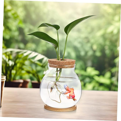 Glass Hydroponic Plant Vase with Cork Lid and Bamboo Base Small Clear Fish Bowl Desktop Terrarium Kit for Water Plants Lucky Bamboo Betta Fish Starter Pot for Home Office Decor 5x5.5 Inch