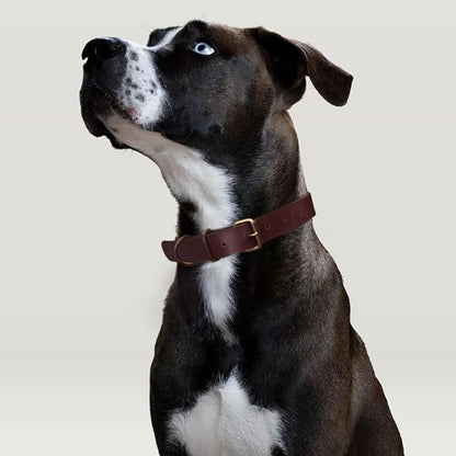Heavy Duty Genuine Leather Dog Collar and Leash Set - 5ft Soft and Durable With Metal Buckle - Adjustable, Compatible for Large Dogs