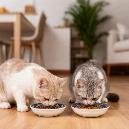 HAPPY KIT Ceramic Cat Food Bowl, Non-Slip Whisker Fatigue Cats Bowl, 5.75” Shallow Dish for Indoor, Boho Whisker Friendly Cat Bowls, Small Kitten Plates with Silicone Bottom