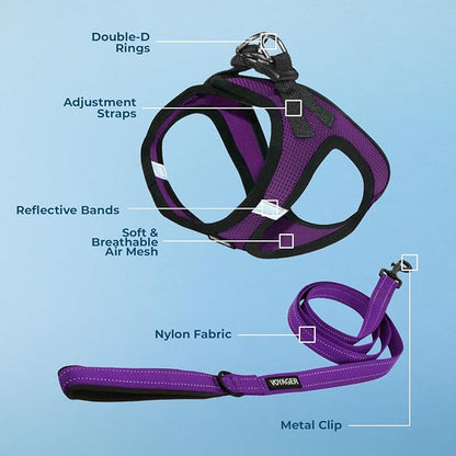 Best Pet Supplies Voyager Step-in Air All Weather Mesh Harness and Reflective Dog 5ft Leash Combo with Neoprene Handle, for Small, Medium and Large Breed Puppies - Purple/Black Trim, X-Small