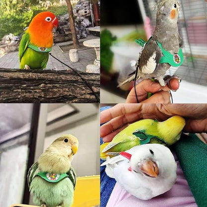 Adjustable Bird Harness & Leash Set for Small Birds,FitsBudgie,Parakeets, Conures, Cockatiels,Green Cheek,Quaker Parrots(Green, XL) Z6350-13