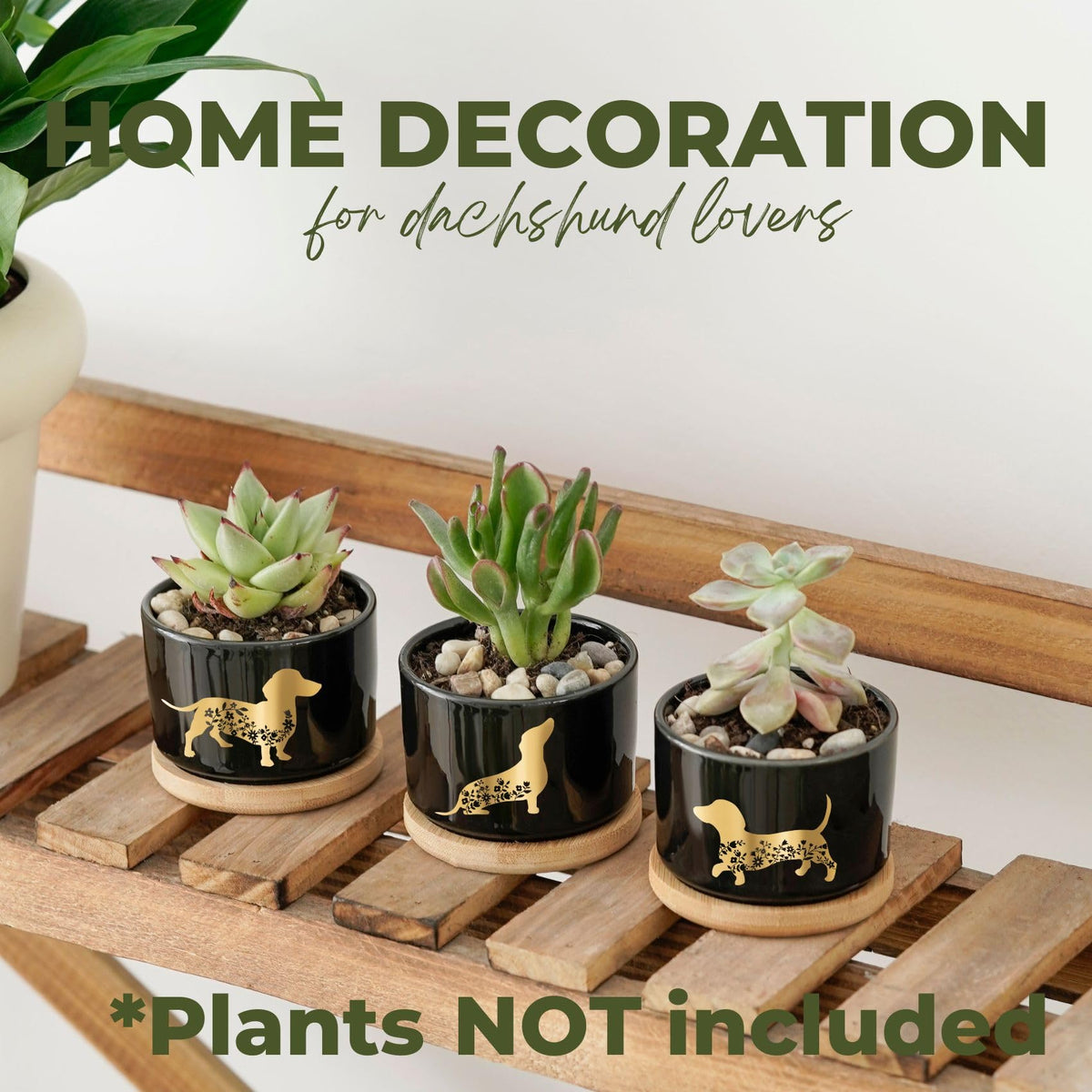 InnoBeta Dachshund Gifts Succulent Plant Pots 3pcs, Gifts for Dachshund Lovers, Planter Pot with Bamboo Tray, Plants NOT Included, Cute Ceramic Pots for Birthday, Christmas