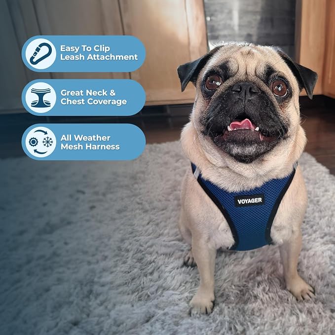 Best Pet Supplies Voyager Step-in Air All Weather Mesh Harness and Reflective Dog 5ft Leash Combo with Neoprene Handle, for Small, Medium and Large Breed Puppies - Blue/Black Trim, Large