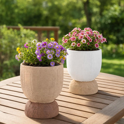 DREAMLOOM Terracotta Planter for Plant Flowers, 6.4Inch Terracotta Pots for Succulents, Bonsai, Fairy Gardens, Herbs, Terra Cotta Color(Two-Tone)
