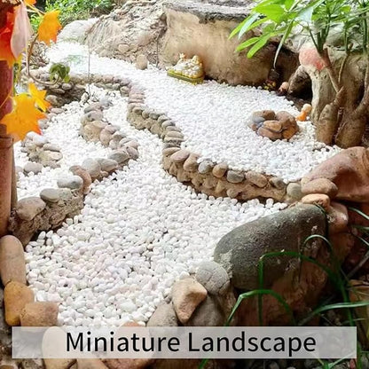 FANTIAN 10LB Natural Succulent Gravel Decorative White Rocks - 3/8'' Small White Pebbles for Plants, Decorative Stones, Succulent Rocks Pebbles for Planter, Aquarium Pea Gravel for Landscaping