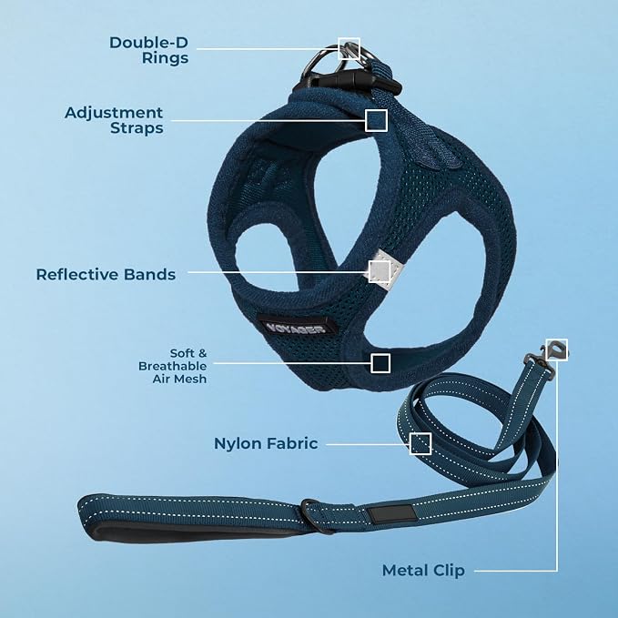 Best Pet Supplies Voyager Step-in Air All Weather Mesh Harness and Reflective Dog 5ft Leash Combo with Neoprene Handle, for Small, Medium and Large Breed Puppies - Set (Blue), X-Lrage