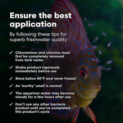 Brightwell Aquatics MicroBacter Start XLF - Concentrated Freshwater Nitrifying Bacteria - Quick Start Fish Tank Starter, Lift Microbe Levels & Water Filtering - Aquarium Water Treatments, 8.45 fl oz