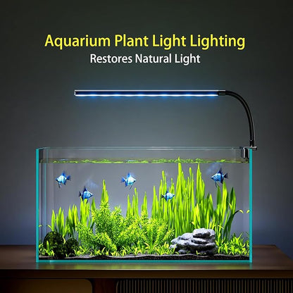 Clip On Aquarium Light for 1-5 Gallon Small Fish Tank – 3 Colors & 10 Dimmable Brightness Levels, Flicker-Free Full Spectrum LED Fish Tank Light with USB for Betta, Desktop, Nano Tank