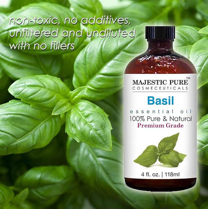Majestic Pure Essential Oil with Glass Dropper - 100% Pure and Natural - Essential Oils for Diffuser, Aromatherapy, Soap and Candle Making, Basil Essential Oil, Basil Oil, 4 Fl Oz