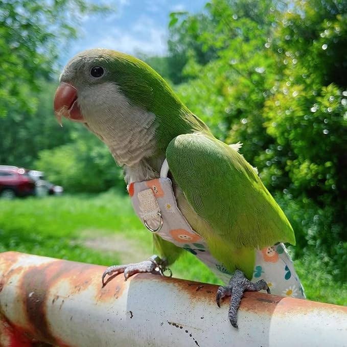 Snap-Closure Parrot Diaper Flight Suit for Cockatiels, Lovebirds & Medium Birds Cotton Washable Escape-Proof Harness with Leash Set(Keck Model+1 Meter Rope)