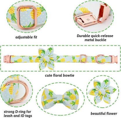 Dog Collar and Leash Set Girls Adjustable Puppy Collars with Fruit Bow Tie for Small Medium Large Female Dogs, Pineapple, XS