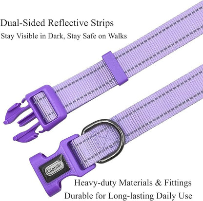Dog Collar Leash Set, with Relfective Strips, Lilac Purple, Medium. | Adjustable Collar,5 ft Matching Leash,Neoprene Padded Handle.