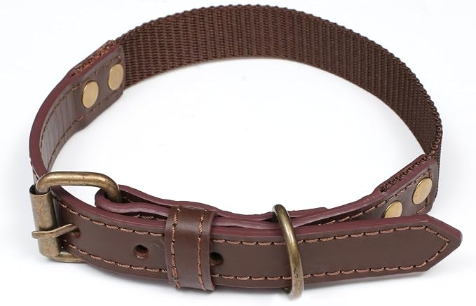 Lightnpro Heavy-Duty Dog Collar & Leash Set - 24" Adjustable Nylon Collar (Coffee Brown) with Secure Metal Buckle & Matching Leash - Durable Walking & Training Gear for Medium & Large Breeds