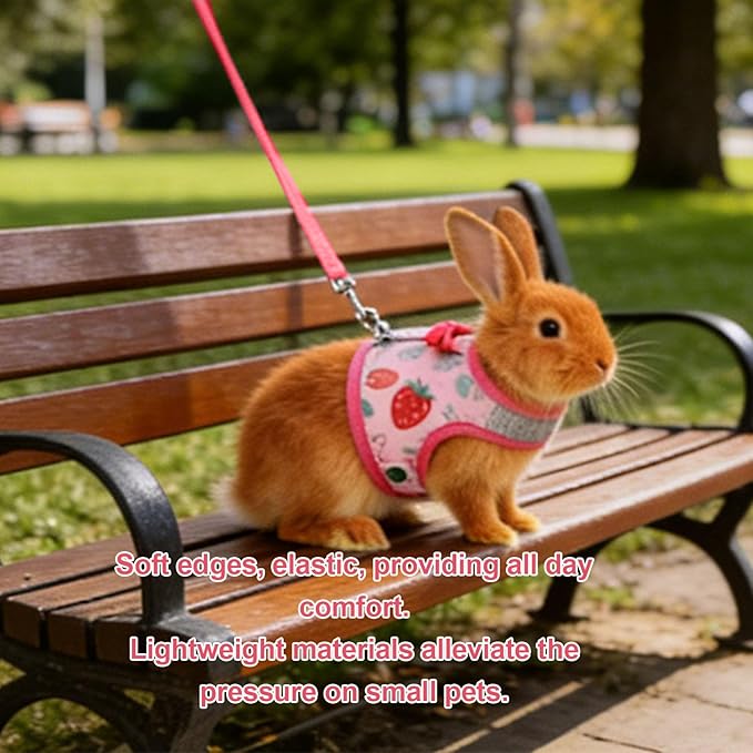 Small Pet Harness and Leash, Escape Proof Rabbit Vest with Soft Edges Dual Safety Buckles for Bunny Guinea Pig Ferret Chinchilla (M)