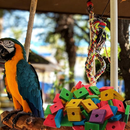 DECHOUS 100Pcs Bird Toys Wooden Blocks Parrot Toys Multicolored Natural Bird Wood Chewing Chips for Conures Parakeets Cockatiels Lovebirds African Grey Macaws Cage Fun