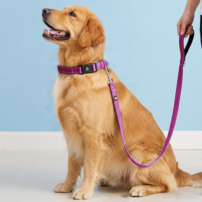 FURRYFECTION Reflective Dog Collar and Leash Set with Quick Release Buckle, Padded with Neoprene Adjustable Nylon Dog Collar for Small Medium and Large Dogs (Medium Collar+5FT Leash, Hot Pink)