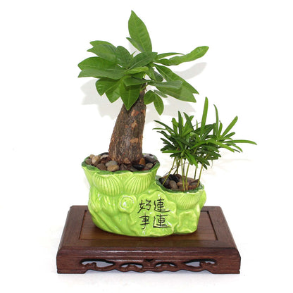 GOLDY&WENDY Rectangular Wooden Base Solid Wood Carved Teapot Pot Plant Table Lamp Fish Tank Display Stand Home Decor Pedestal