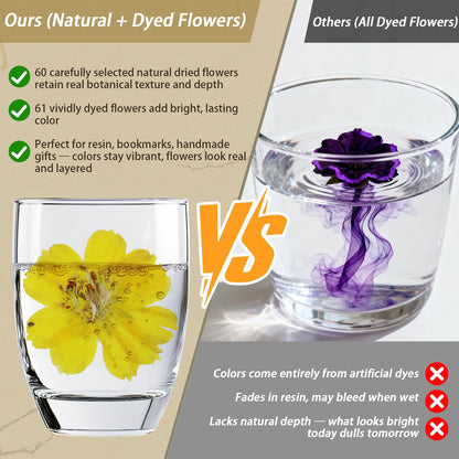 173pcs Dried Flowers for Crafts | Small Pressed Flowers & Real Dry Flowers for Resin | Dried Flowers for Candle Making Set