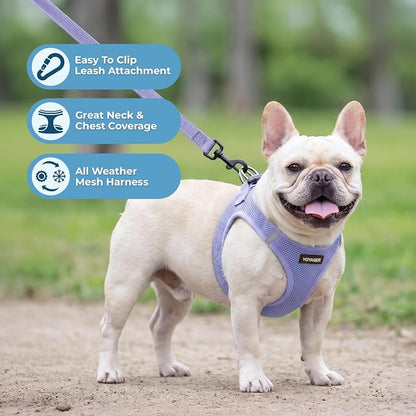 Best Pet Supplies Voyager Step-in Air All Weather Mesh Harness and Reflective Dog 5ft Leash Combo with Neoprene Handle, for Small, Medium and Large Breed Puppies - Lavender, L