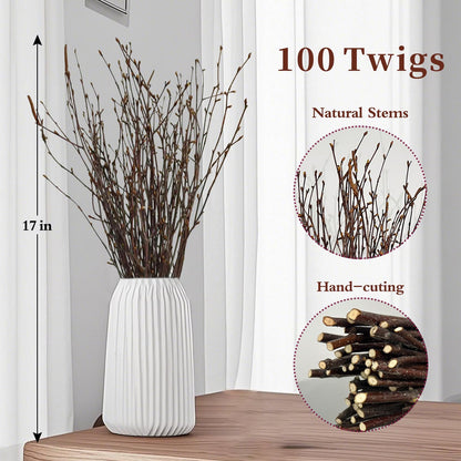 17 Inch Natural Birch Branches Dried Birch Twigs Wreath Making Supplies Dried Plants for Rustic Home Decor Easter Stems Vase Filler DIY Crafts Vases Tall Wreath Christmas Decoration Wedding (100Pcs)