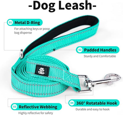 IVY&LANE Reflective Dog Collar and Leash Set,Adjustable Neoprene Padded Dog Collars for Puppy, Breathable Nylon Pet Collar for Small Medium Large Dogs(Medium,Teal)
