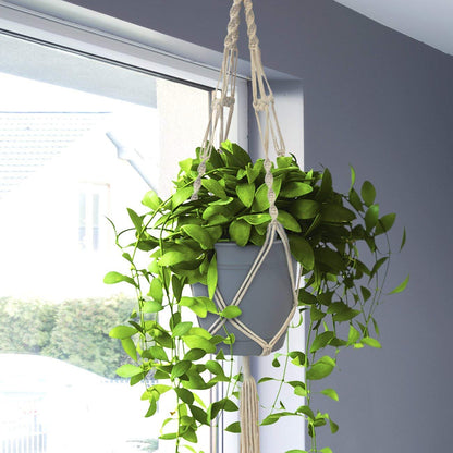 Onwon Macrame Plant Hanger Basket Liners Cotton Rope 40 inch 4 Legs, Elegant for Home Garden, Patio and Office, Indoor & Outdoor Decoration (4 Packs)
