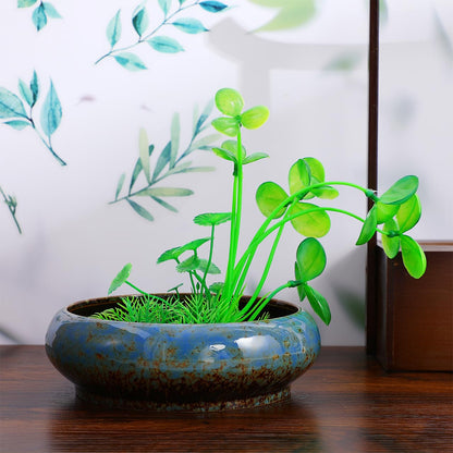 INOOMP Hydroponic Plants Pot Ceramic Succulent Bonsai Pot 8Inch Water Lily Pot Narcissus Planting Bowl Flowerpot Container Garden Decoration