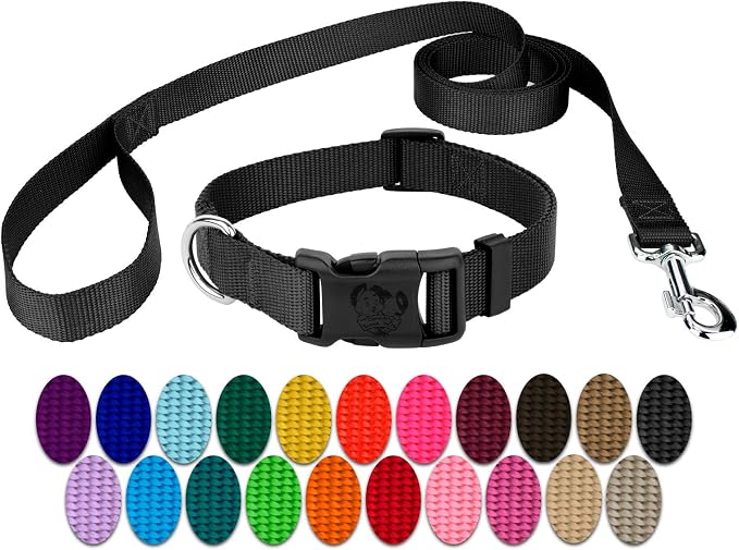 Country Brook Petz - Everyday Nylon Dog Collar and Leash - 10+ Cool Colors (3/8 Inch, Extra Small, Black)