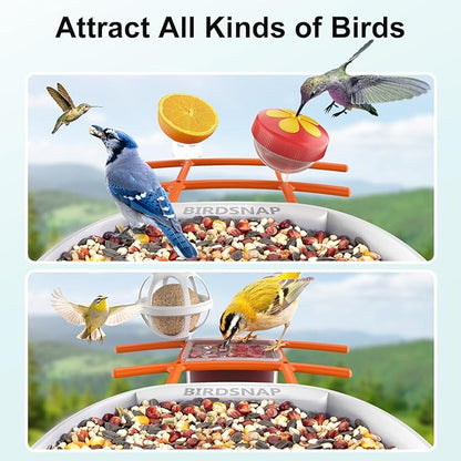 birdsnap® PAV-Bird Feeder with Camera,2K HD with 64GB Card, AI Identify Smart Bird House Cam Solar Panel,Live Stream,Motion Detection,Auto Record Video for Backyard Outdoors,Ideal Gift for Bird Lover